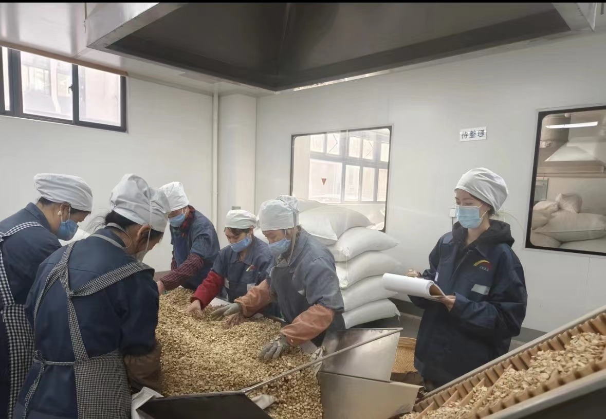 Qingdao Biohoer Biotech Co.、Ltd。は正式に建設を開始しました