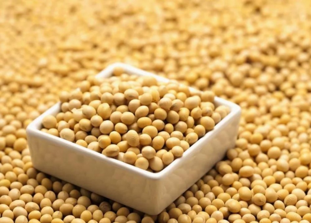 大豆イソフラボンの利点は何ですか？