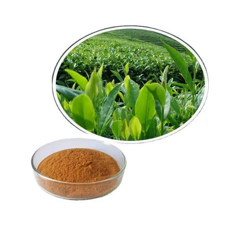 緑茶抽出物の食品用途は何ですか？