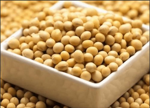 大豆イソフラボンの利点は何ですか？