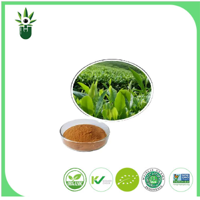 天然緑茶抽出物98％l